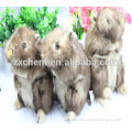 Plush Toy Cute Cavy 18cm 80g - Squeaky Toys - Squeaky Plush Toy for Dog